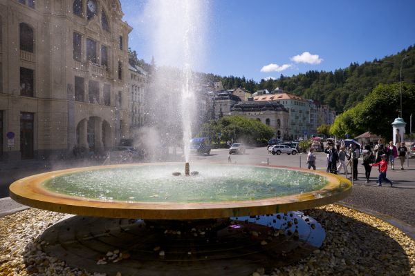 Hotel Apartment Karla Capka Street (Karlovy Vary)